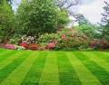 TJ Lawnzz Lawncare- All your yard needs 