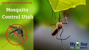 Expert Mosquito Control Utah Services in Utah! 